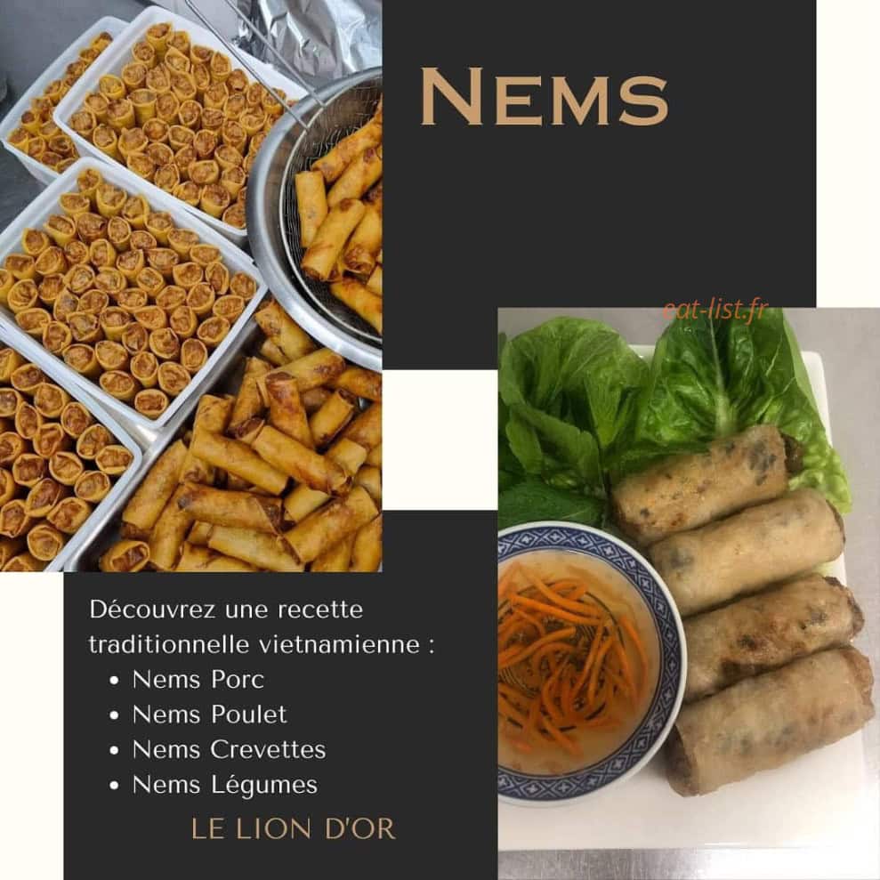 Carte et menu de Spécialité Vietnamienne à La Charite sur Loire — Les nems