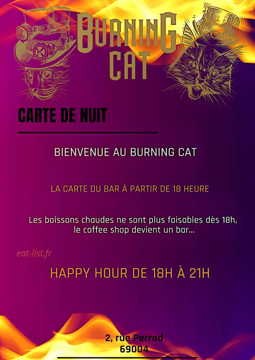 Burning Cat — carte page 9