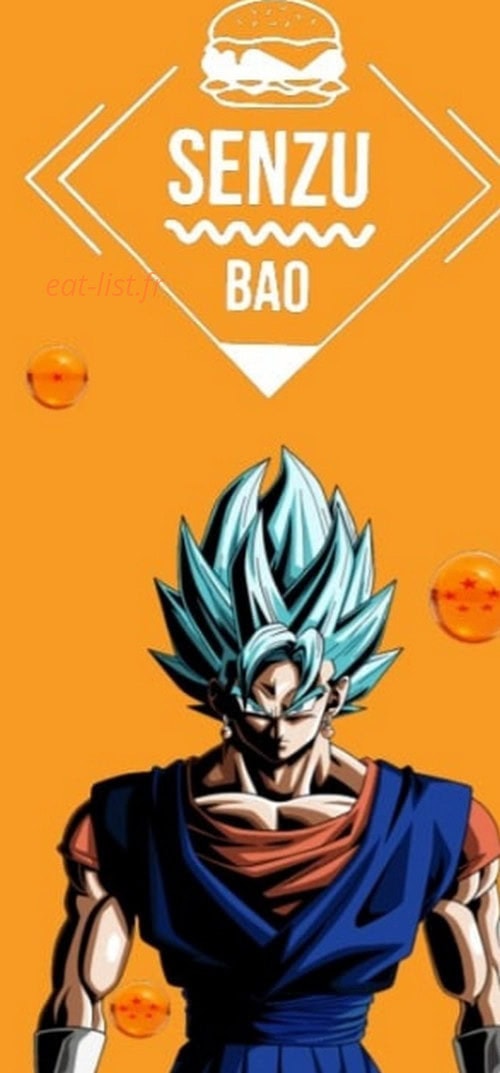 Senzu Bao — carte page 1