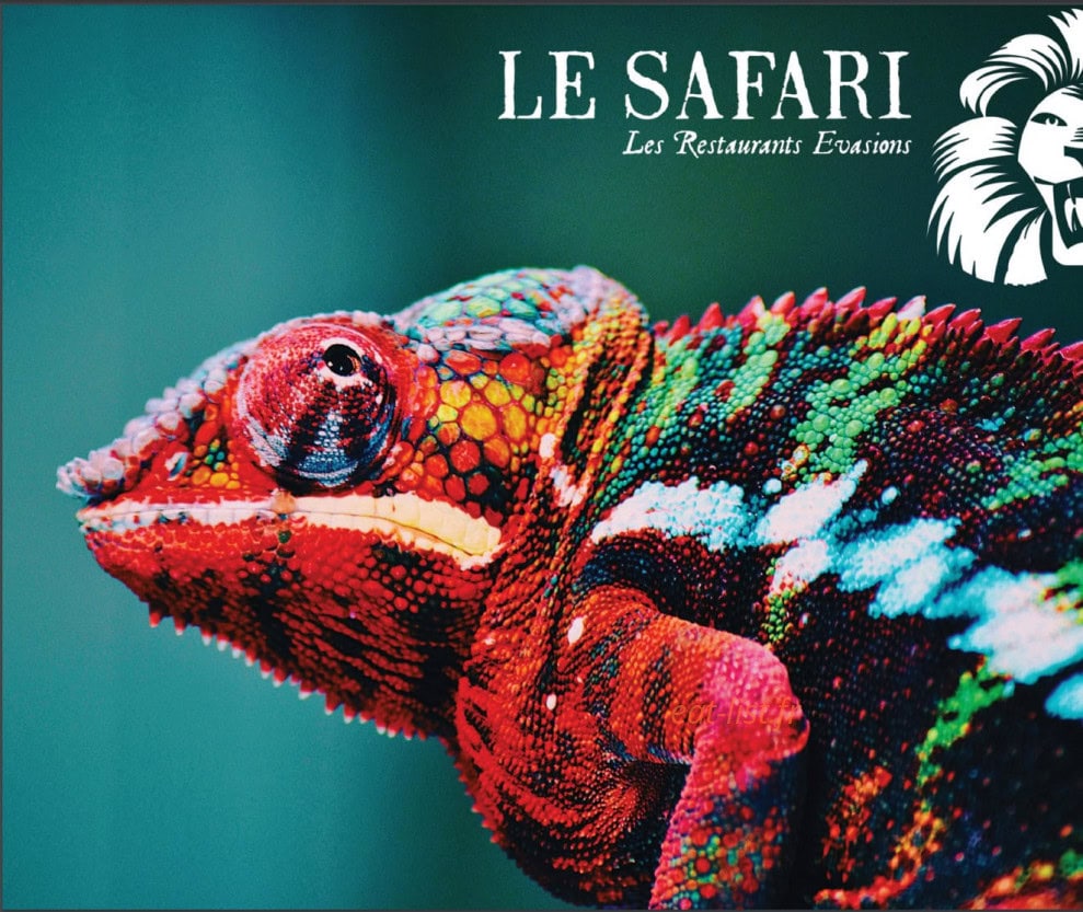 Le safari — carte page 1