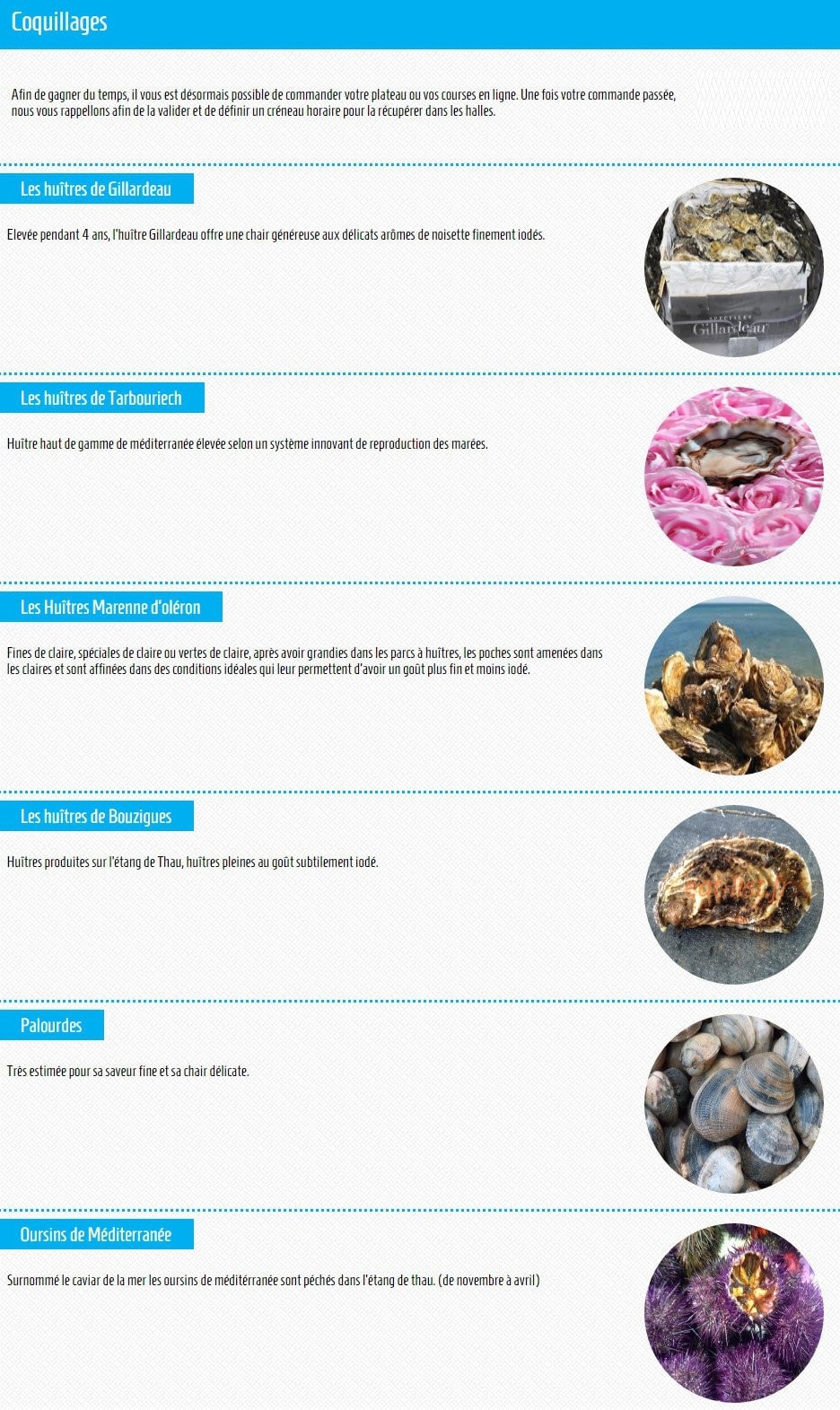 Carte et menu de Le jardin des coquillages à Avignon — Les coquillages