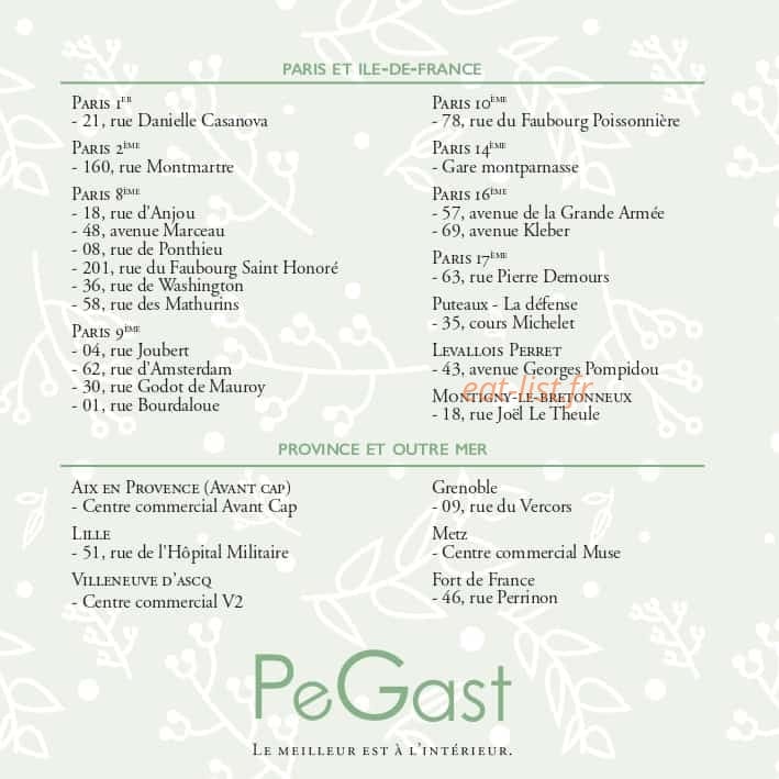 Pegast — carte page 17
