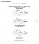 Carte et menu de Auberge de la Tour à Amberieux en Dombes — Le menu campagnard