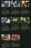 Carte et menu de Mistralou Coquillages à Marseille 7 — Coquillages suite et fin