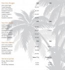 Menu Paillote Tahiti Beach - Les vins