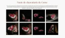 Carte et menu de Charcuterie Pierre-Louis Pistorozzi à Ville Di Paraso — Les charcuteries