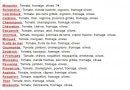 Menu Chez Bruno - Les pizzas base  blanches