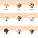 Menu Amorino - Les glaces