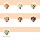 Menu Amorino - Les glaces pages 2