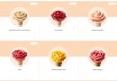 Menu Amorino - Les sorbets vegans