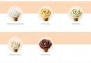 Menu Amorino - Les sorbets vegans suite