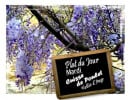 Carte et menu de Harmonie des Saisons à Saint-Sauveur-Villages — Un exemple de plat du jour