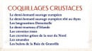 Menu La Criée - Les coquillages crustaces