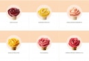 Menu Amorino - Les sorbets vegans