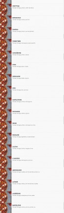 Carte et menu de House Pizzas à Civrieux d'Azergues — Les pizzas base tomate (suite)