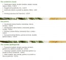 Menu La pizza - Les sandwiches, paninis et salades