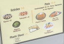 Menu Egglicious - Les entrées et plats