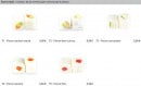 Menu Pontault Sushi - Les maki flocon