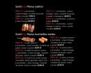 Menu Sushi & CO - Les menus yakitoris et les menus brochettes mixtes
