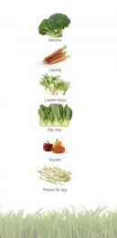 Menu Wok in Progress - Les ingrédients