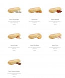 Menu L'épicuroi - Les paninis