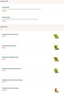 Menu Brother Sushi - Dragon rolls et  spring rolls