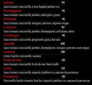 Menu Le camion à pizza - Les pizzas suite