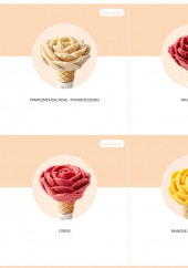 Menu Amorino - Les sorbets vegans