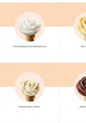 Menu Amorino - Les sorbets vegans suite