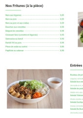 Menu Vietnam - Les fritures et entrées froides