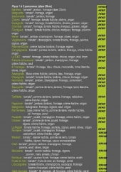 Menu Bruno Pizza - Pizzas