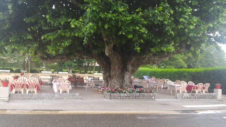 L'Alegría — photo 2