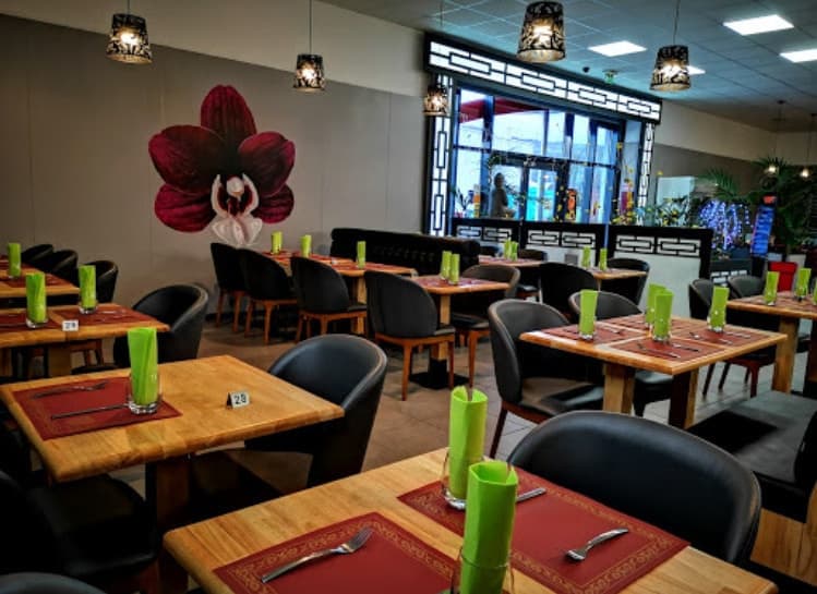 L orchidée d Asie — photo 3