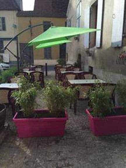 La taverne — photo 2