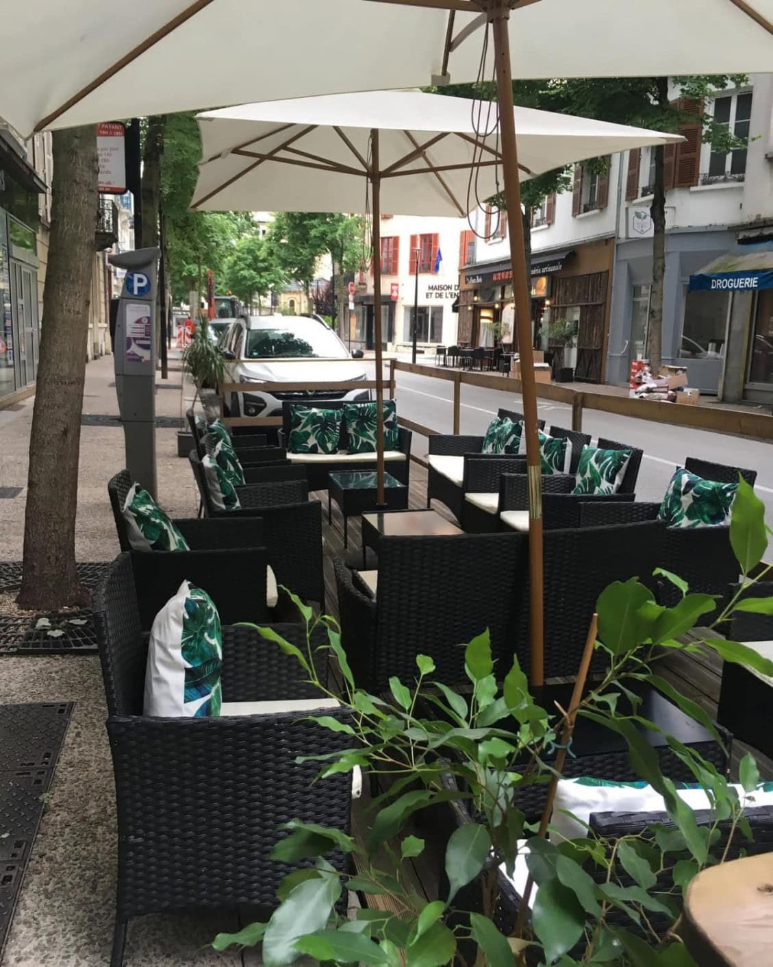 Jungle Bar — photo 3