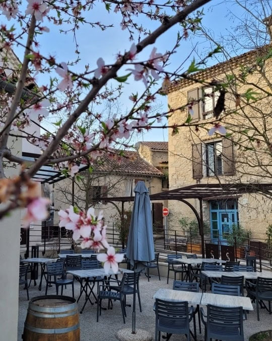 L’Amandier — photo 2