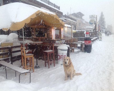 Outside Burger — photo 2