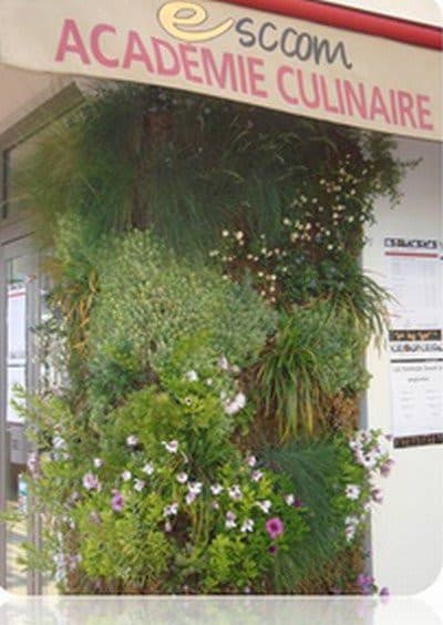 Esccom — photo 2