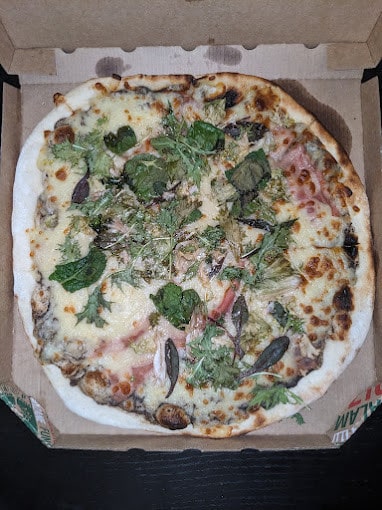 Hal Trattoria — photo 2