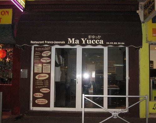 Ma yucca — photo 2