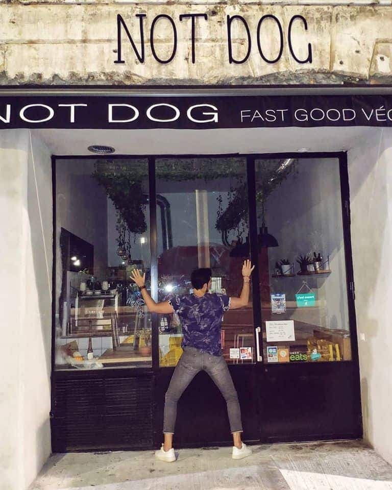 Not Dog — photo 2