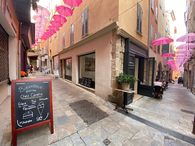 Camélia — photo 3