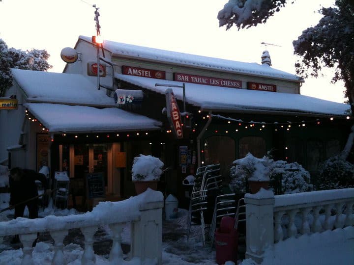 Les chênes — photo 2
