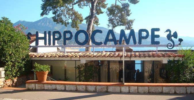 Restaurant L'Hippocampe — photo 2