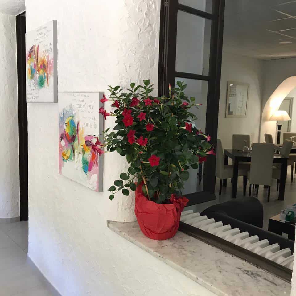 Le Coste de la fontaine — Pizza - pizzéria à Puget Theniers — photo 3