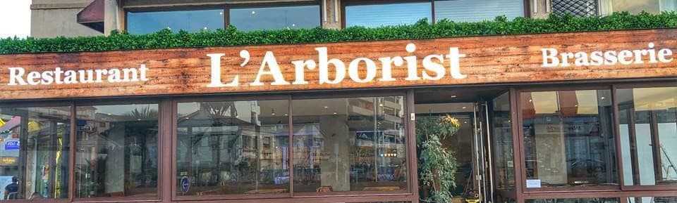 L’arborist — photo 2