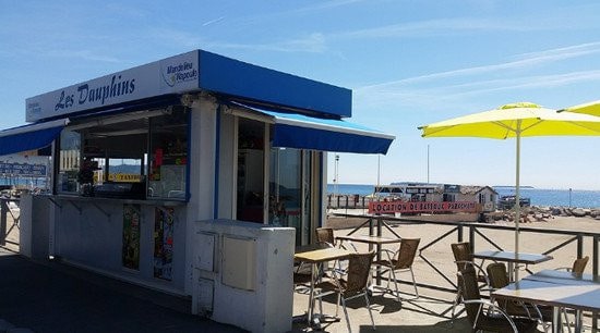 Les dauphins — photo 2