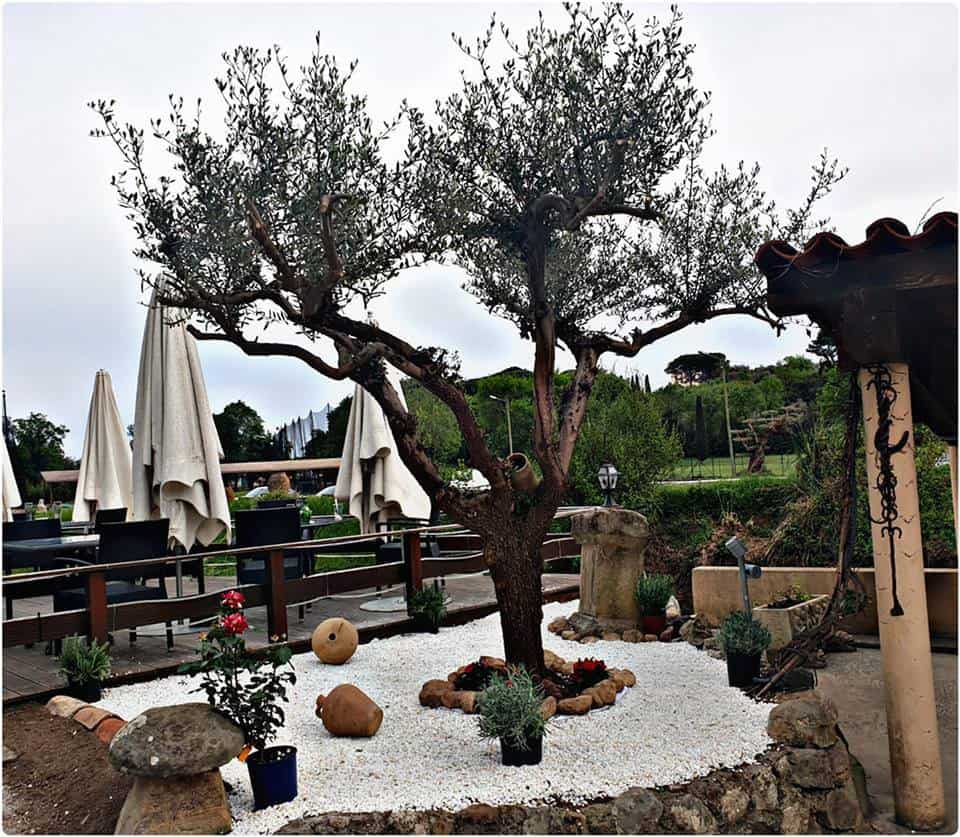 La Bastide du Roy — photo 3
