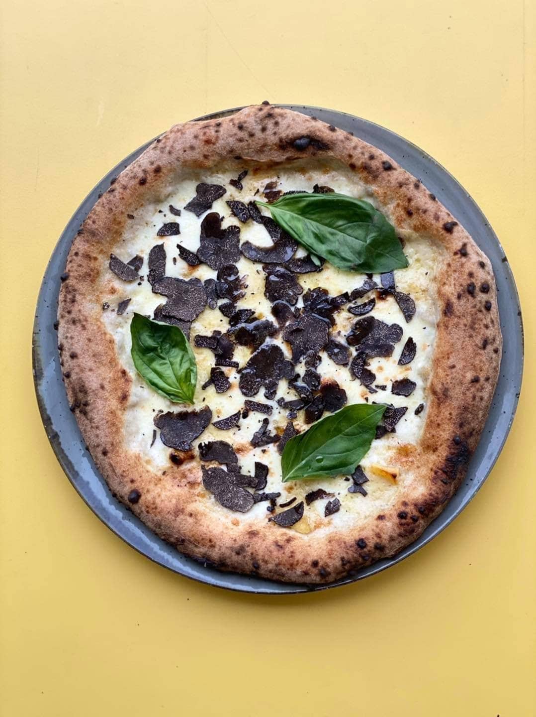 Pecora Negra — photo 2