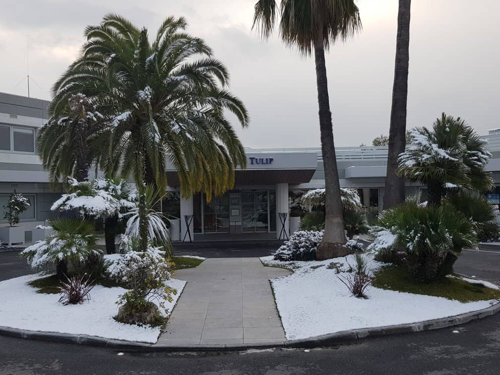 Golden Tulip — photo 2